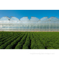 Commercial polycarbonate greenhouse agricultural greenhouse